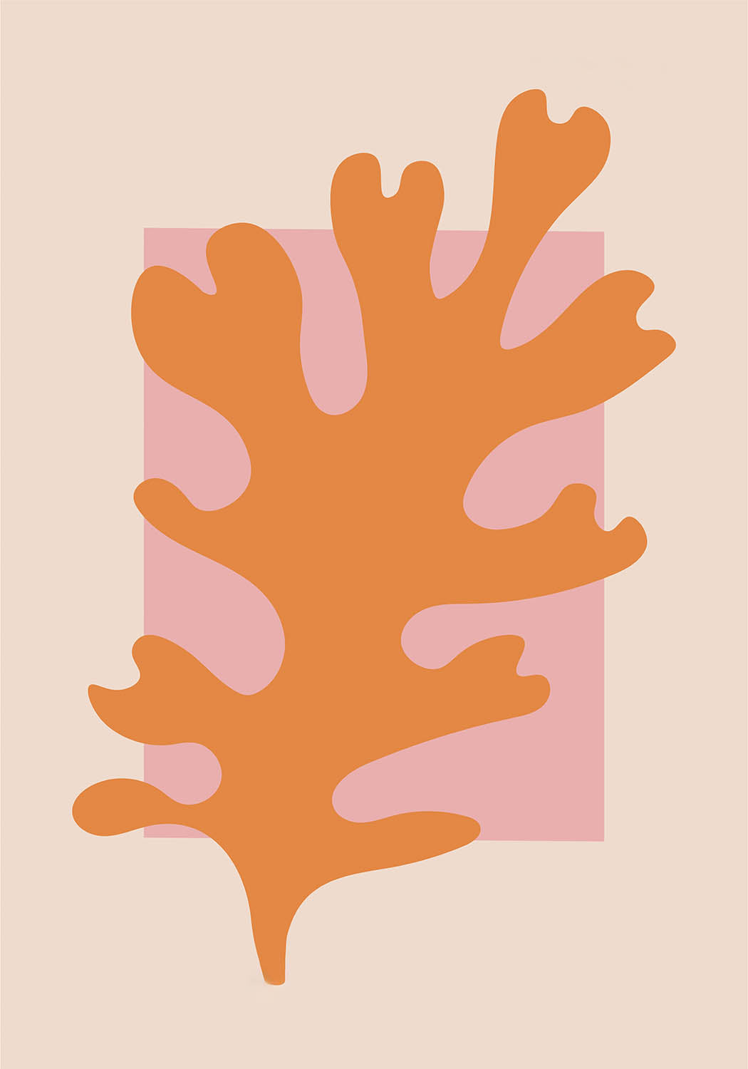Papier Découpés Pastel N1
