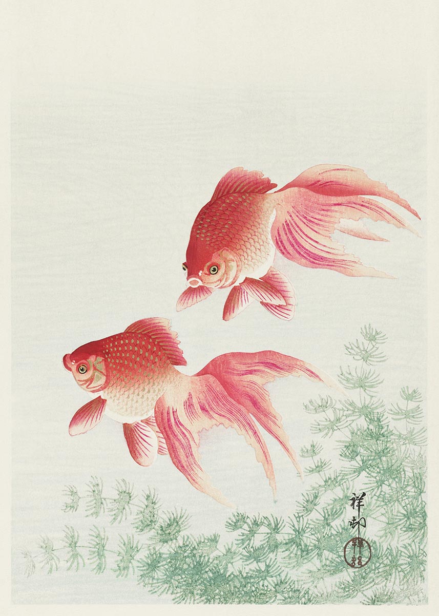 Ohara Koson goldfish poster