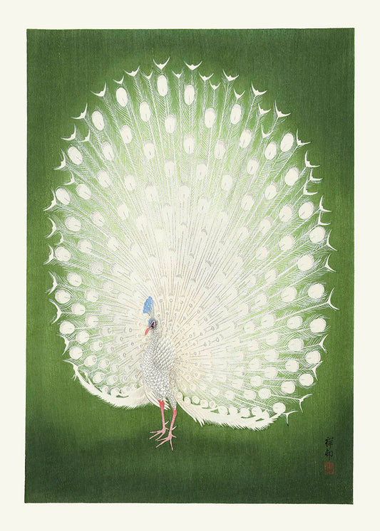 Green peacock by Ohara Koson poster