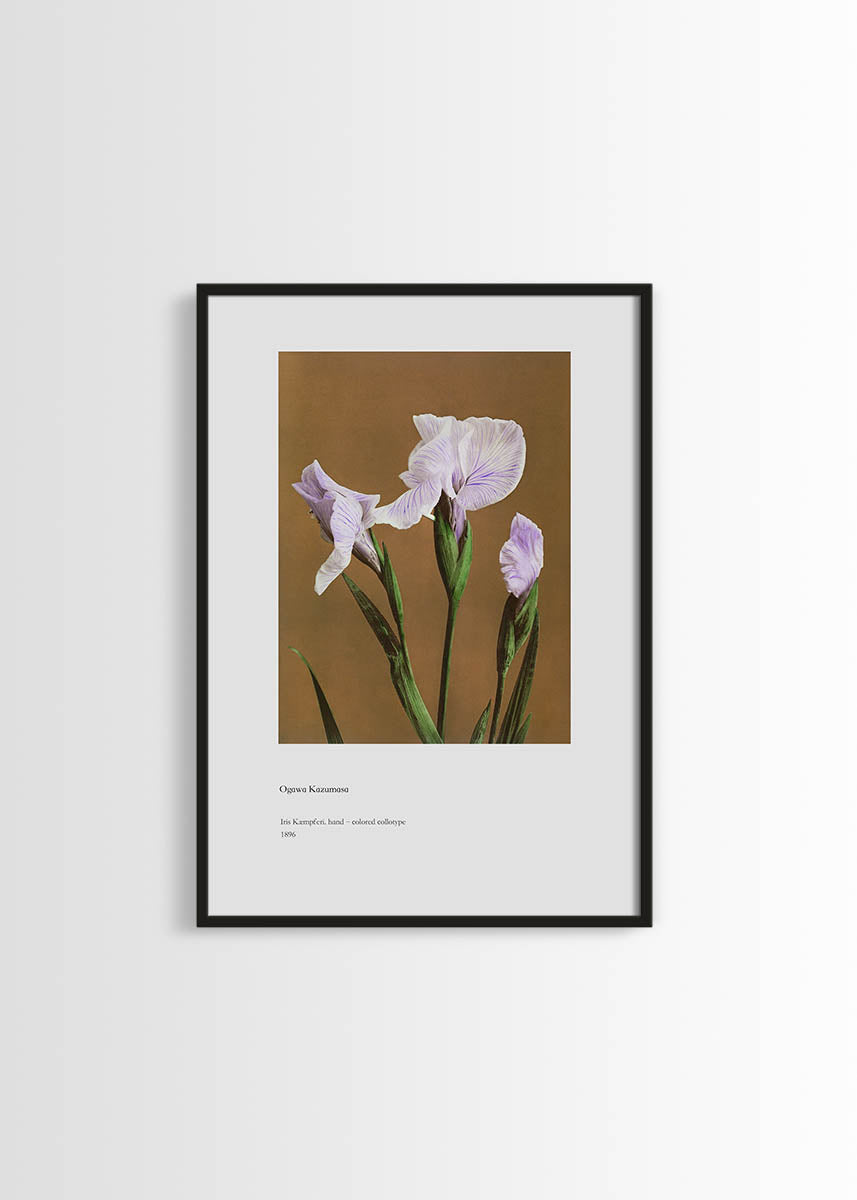 Ogawa kazumasa poster