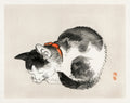 Japanese woodblock print of a black-and-white cat with a red collar, sleeping curled up on a neutral background