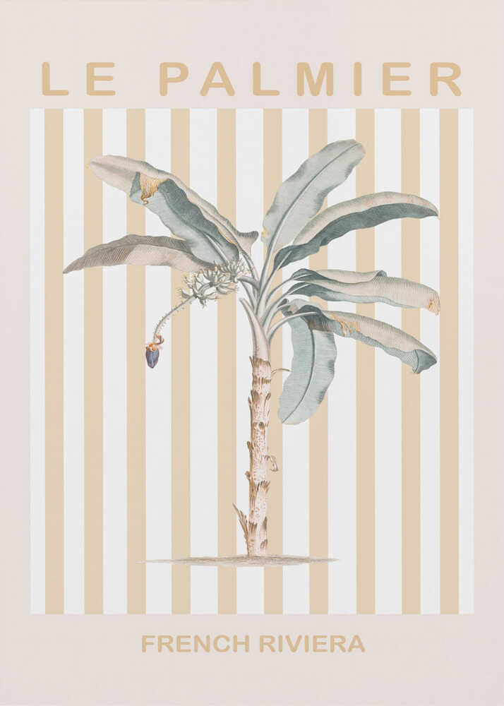 Framed Tropical Palm Tree Print in Coral Pink. Stylized Coastal Wall Art by Talitha McQueen. Perfect for Modern Home Decor.