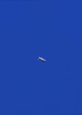 A minimalist art print titled "No Stress" featuring a tiny figure of a woman floating peacefully in the center of a vast, solid deep blue background. The composition is clean and modern, emphasizing solitude and tranquility.