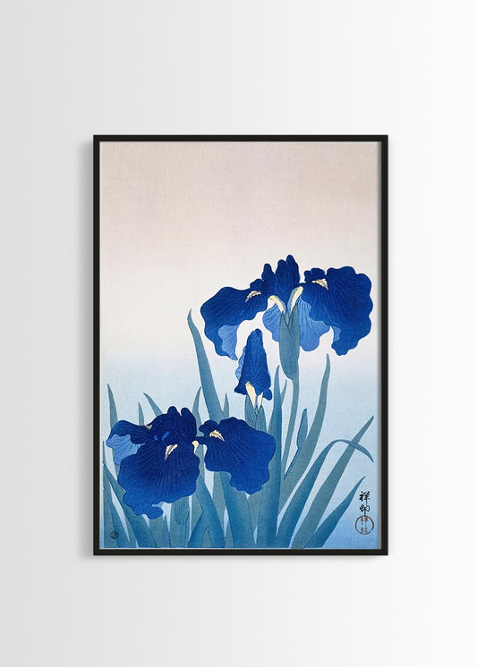 Ohara Koson - Iris flowers