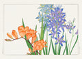 Vintage Japanese woodblock print of orange Freesia and purple Agapanthus flowers with green stems and leaves on a light background.