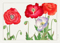 Japanese vintage print of red, orange, and lavender poppy flowers with green leaves on a light background