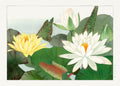 Vintage Japanese print of white and yellow lotus flowers (Nymphaea) with green lily pads and soft background