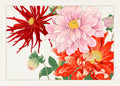 Vintage Japanese woodblock print of red, pink, and orange dahlia flowers with green leaves on a light background