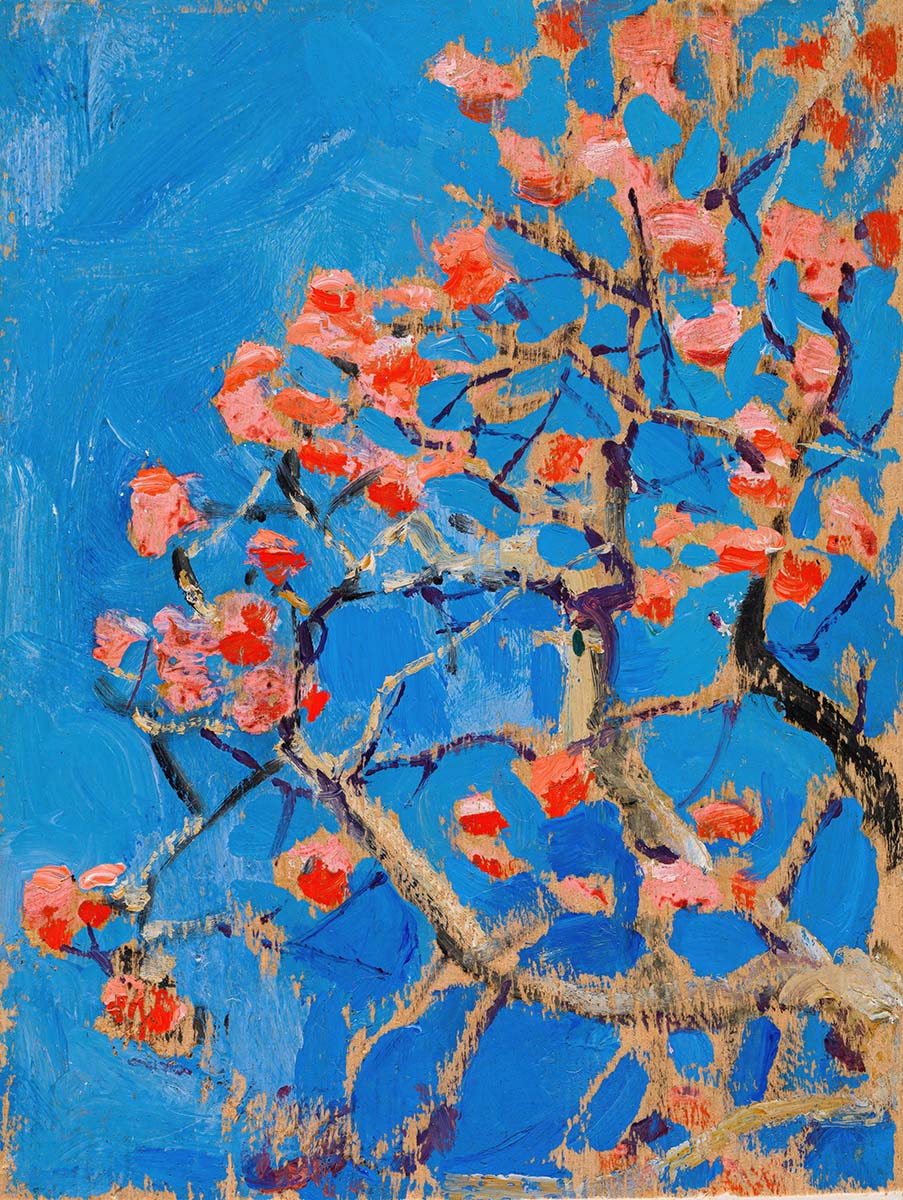 Blooming Coral Tree