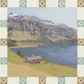 Mountain Lake Cabin View