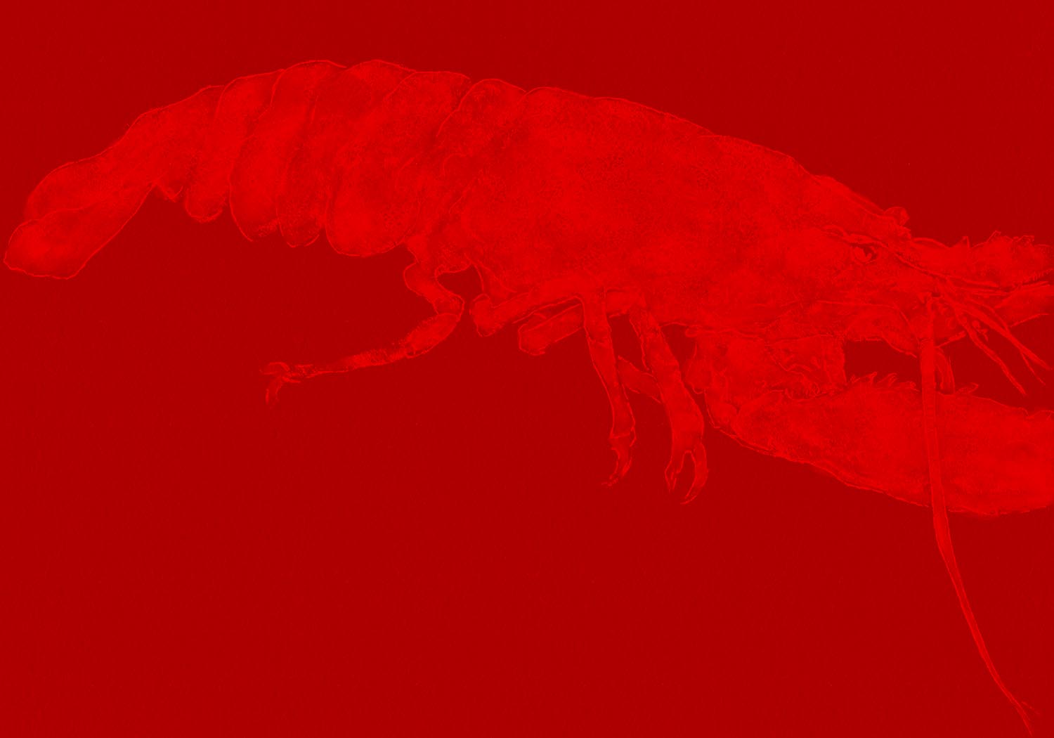 Minimalist lobster poster with a red lobster illustration subtly blended into a solid red background.