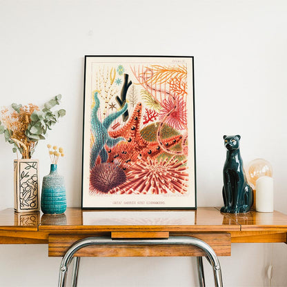 Illustrated vintage poster showcasing a variety of vibrant echinoderms from the Great Barrier Reef, including starfish, sea urchins, and sea cucumbers.