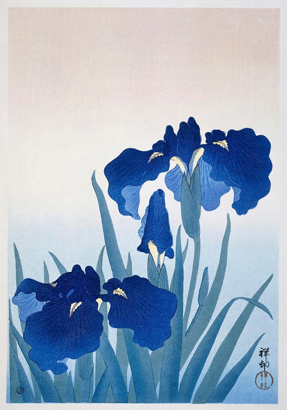 Ohara Koson - Iris flowers