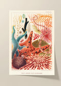 Great barrier reef vintage poster