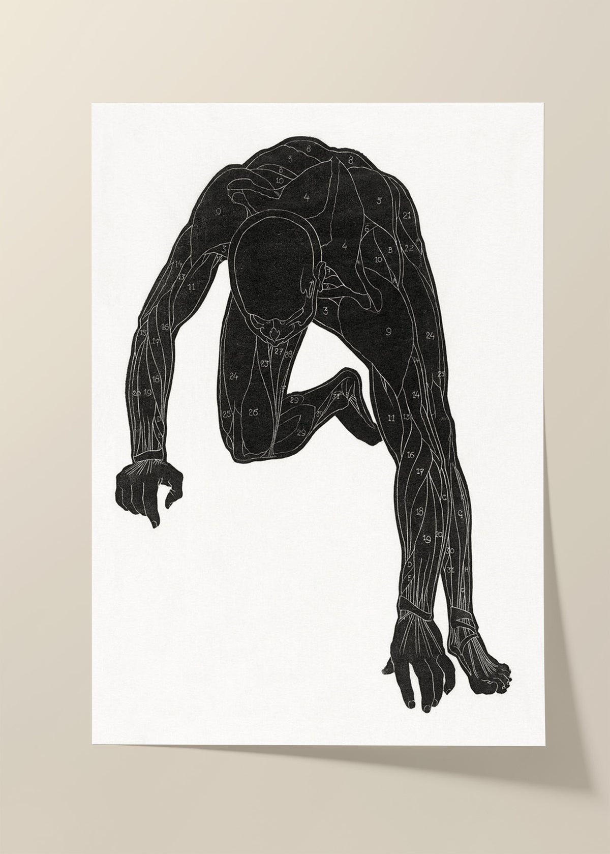 Reijer Stolk human body poster
