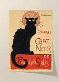 Chat Noir - Black Cat