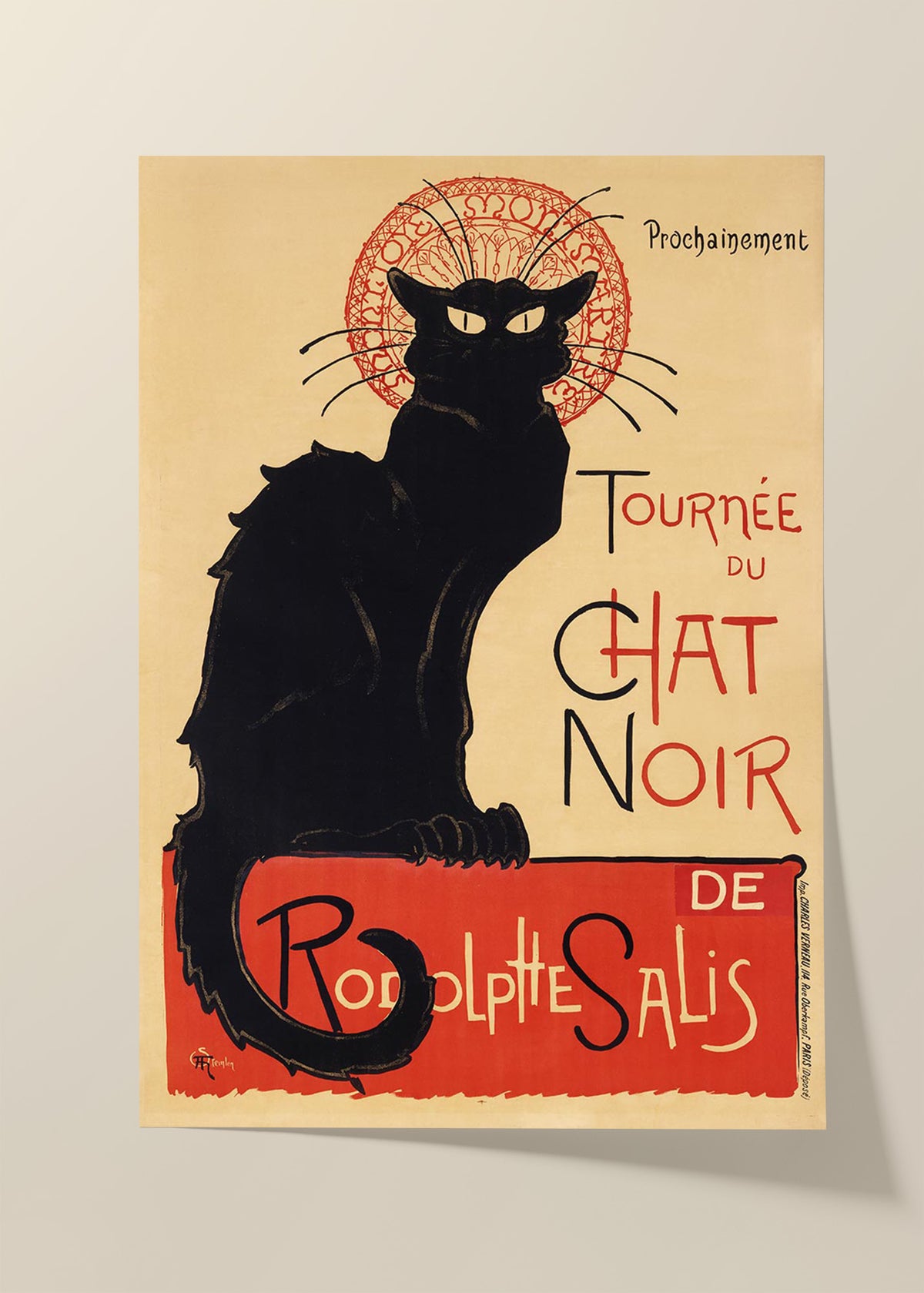 Chat Noir - Black Cat