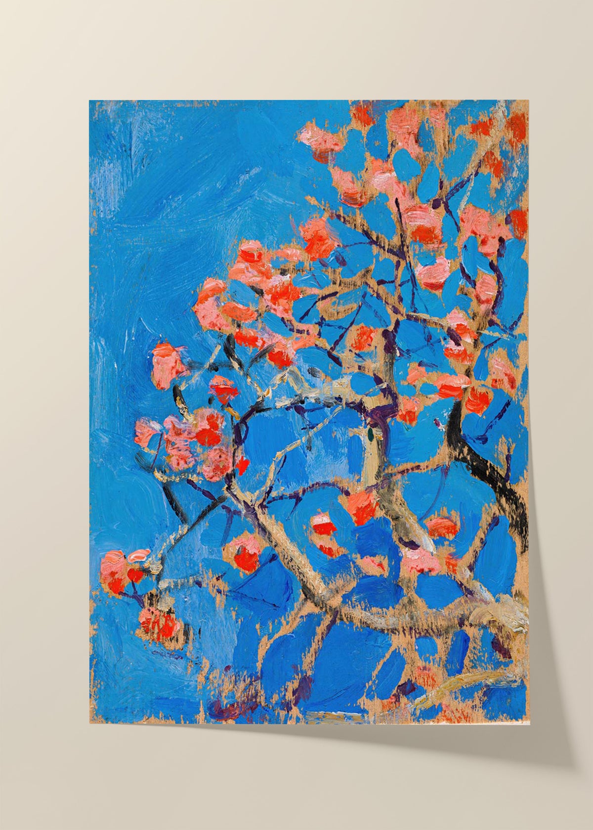 Blooming Coral Tree