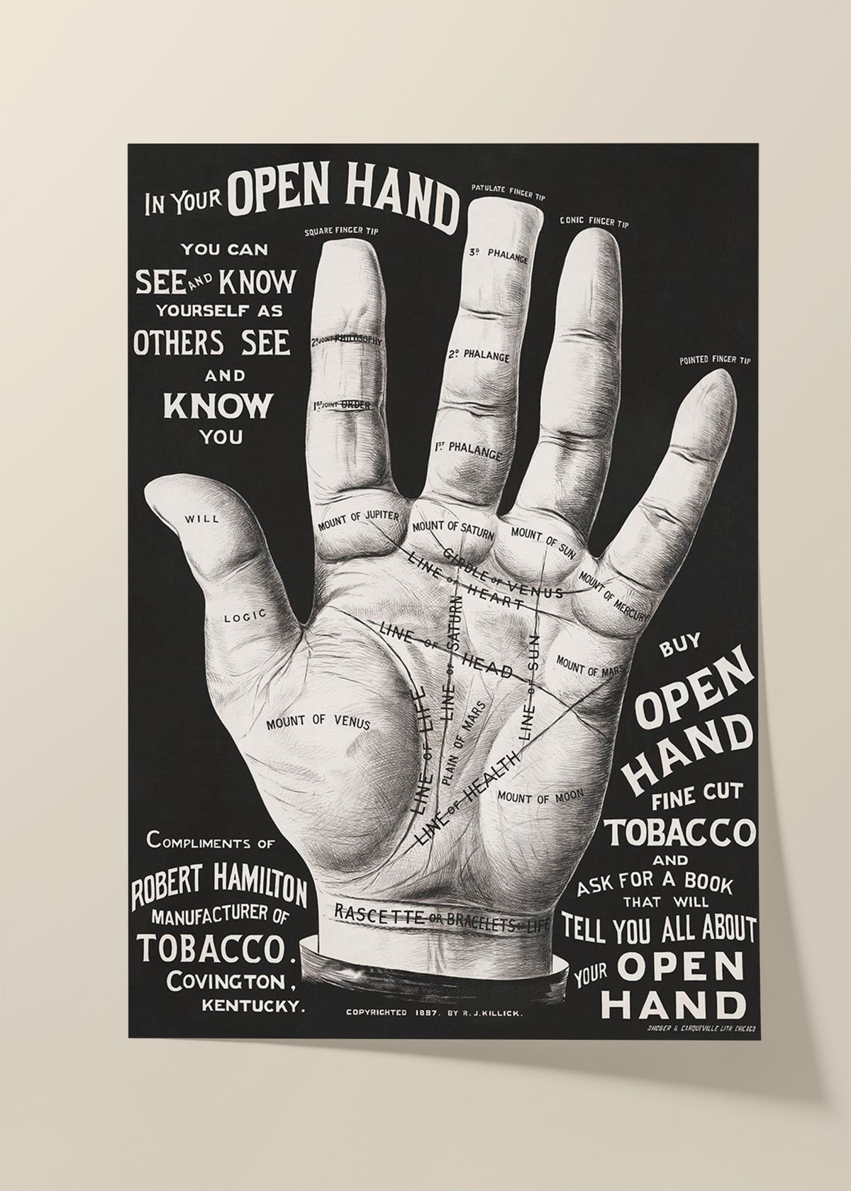 Open hand palm reading