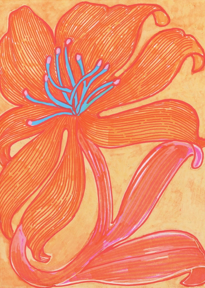 Vibrant Orange Lily
