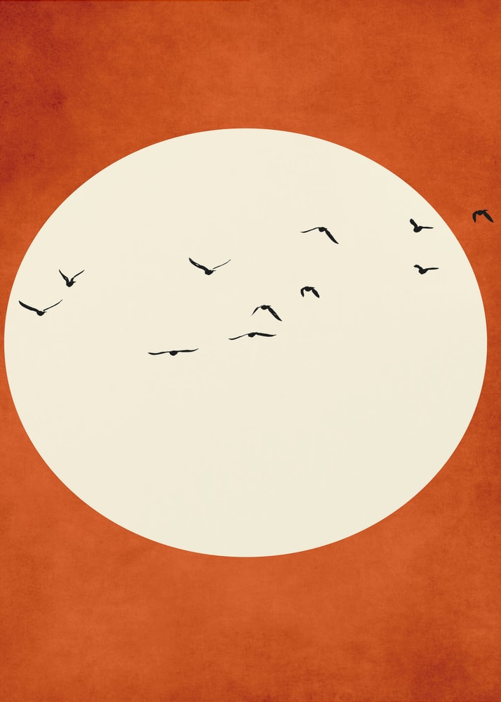 Black birds flying across a large cream circle on a textured burnt-orange background.
