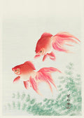 Ohara Koson goldfish poster