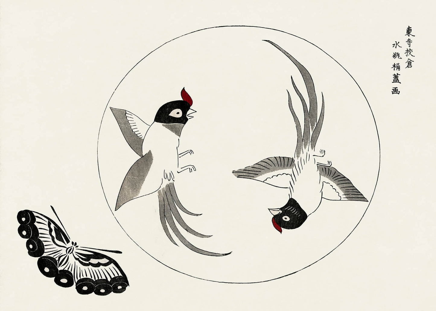 Birds by Taguchi Tomoki