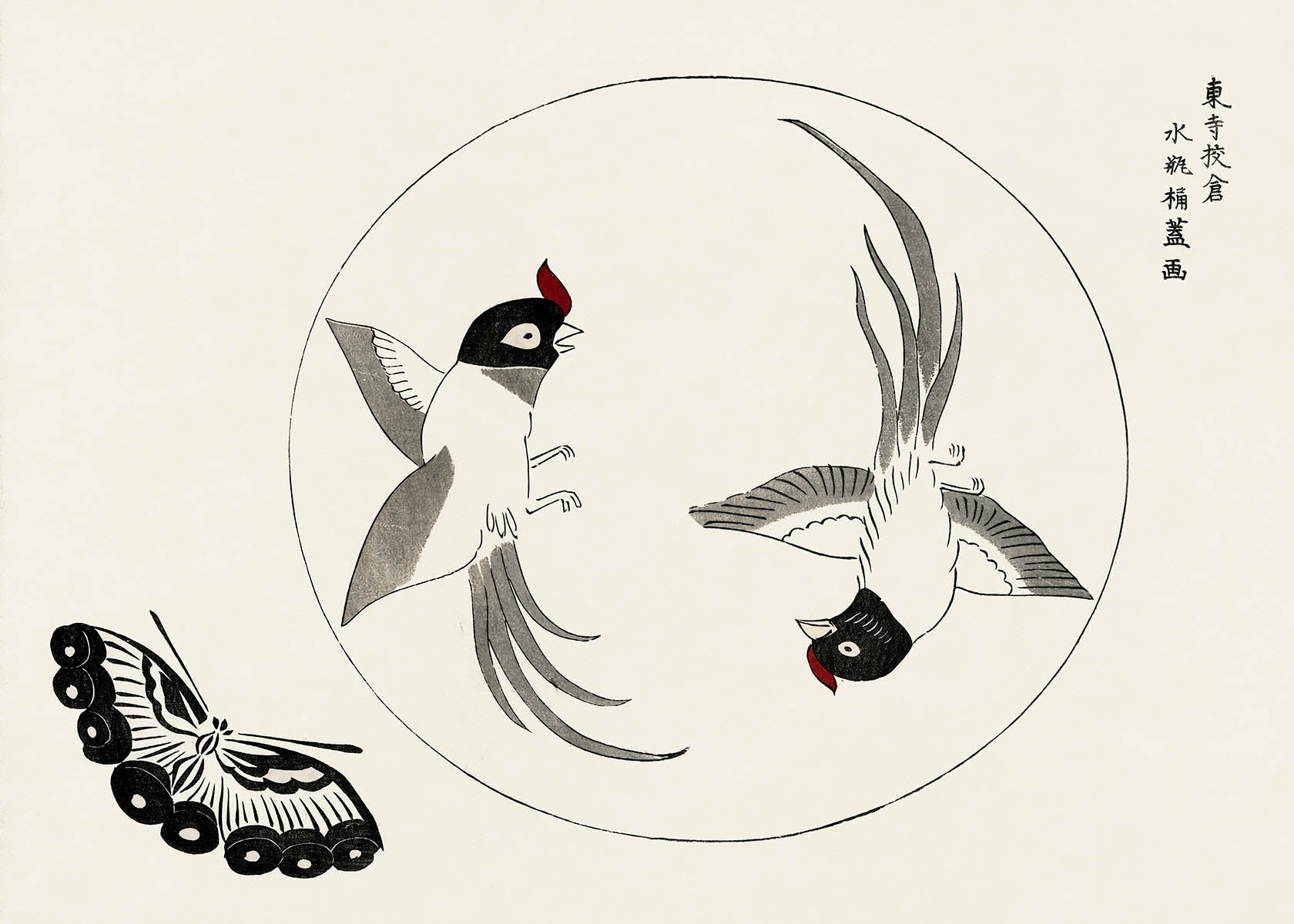 Birds by Taguchi Tomoki