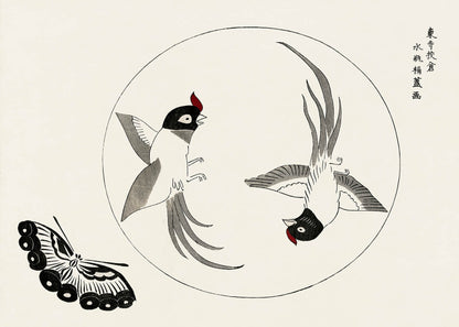 Birds by Taguchi Tomoki