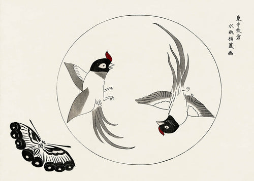 Birds by Taguchi Tomoki