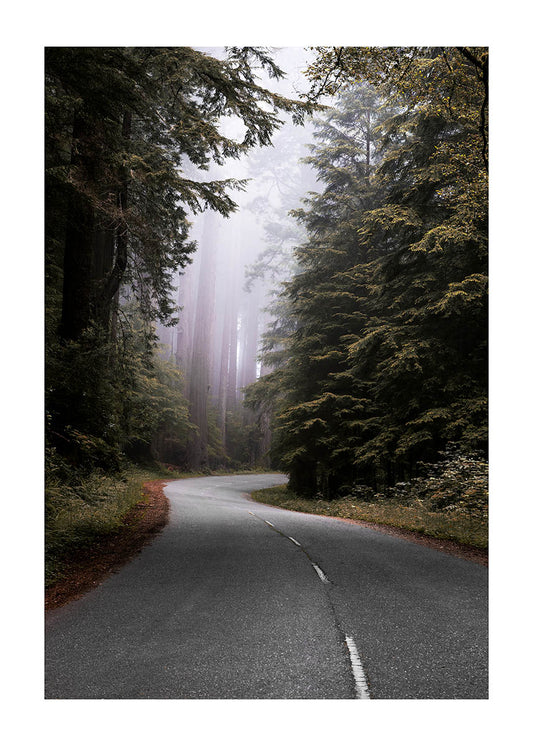 Redwood National Park poster