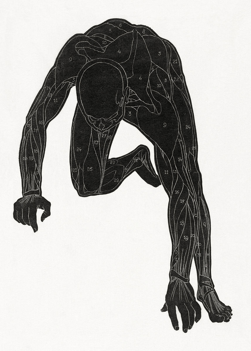 Reijer Stolk human body poster