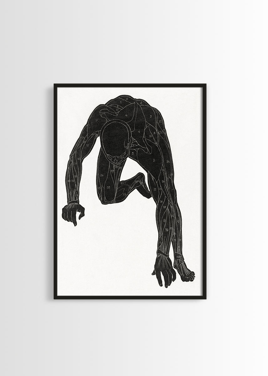 Reijer Stolk human body poster  Edit alt text