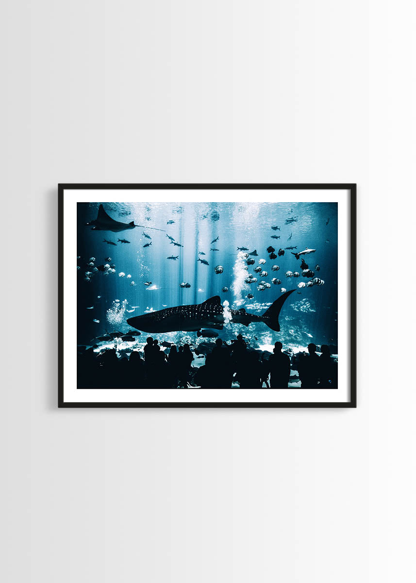 Aquarium poster