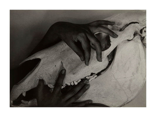 Georgia O'keeffe: 手と馬の頭蓋骨