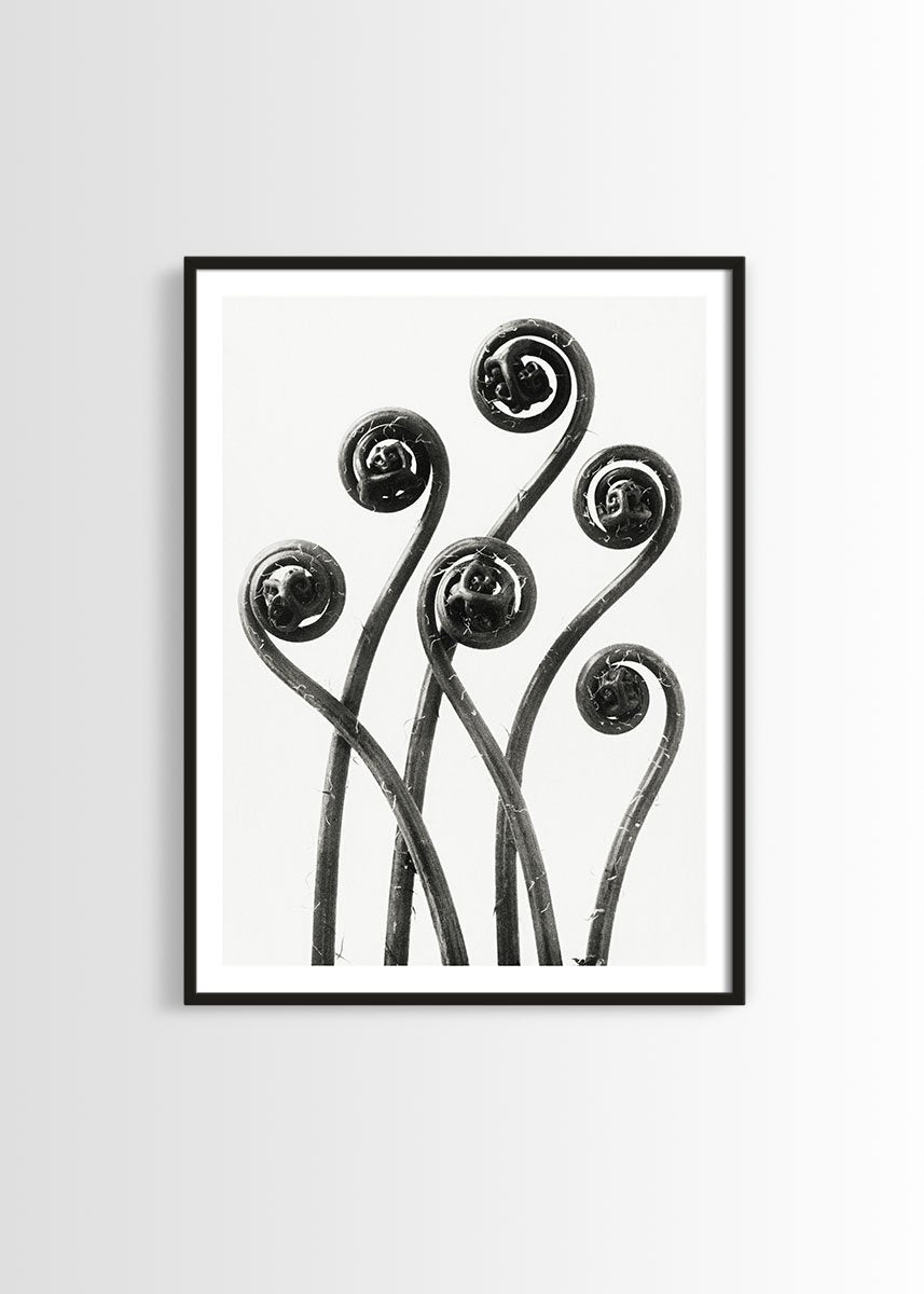 Vintage botanical print poster