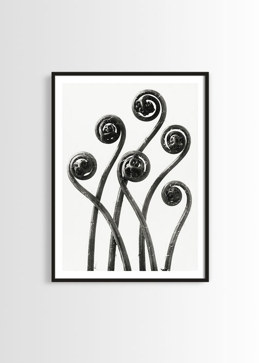 Vintage botanical print poster