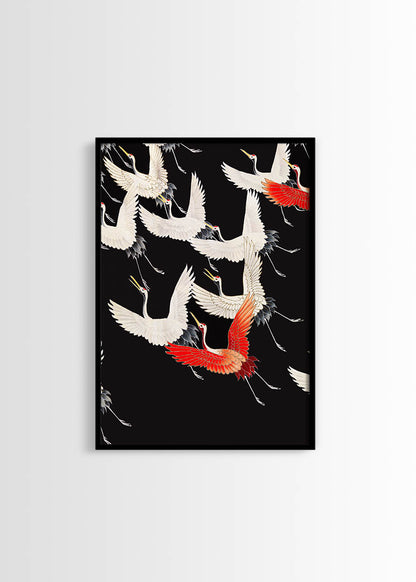 White Cranes and Red one flying poster