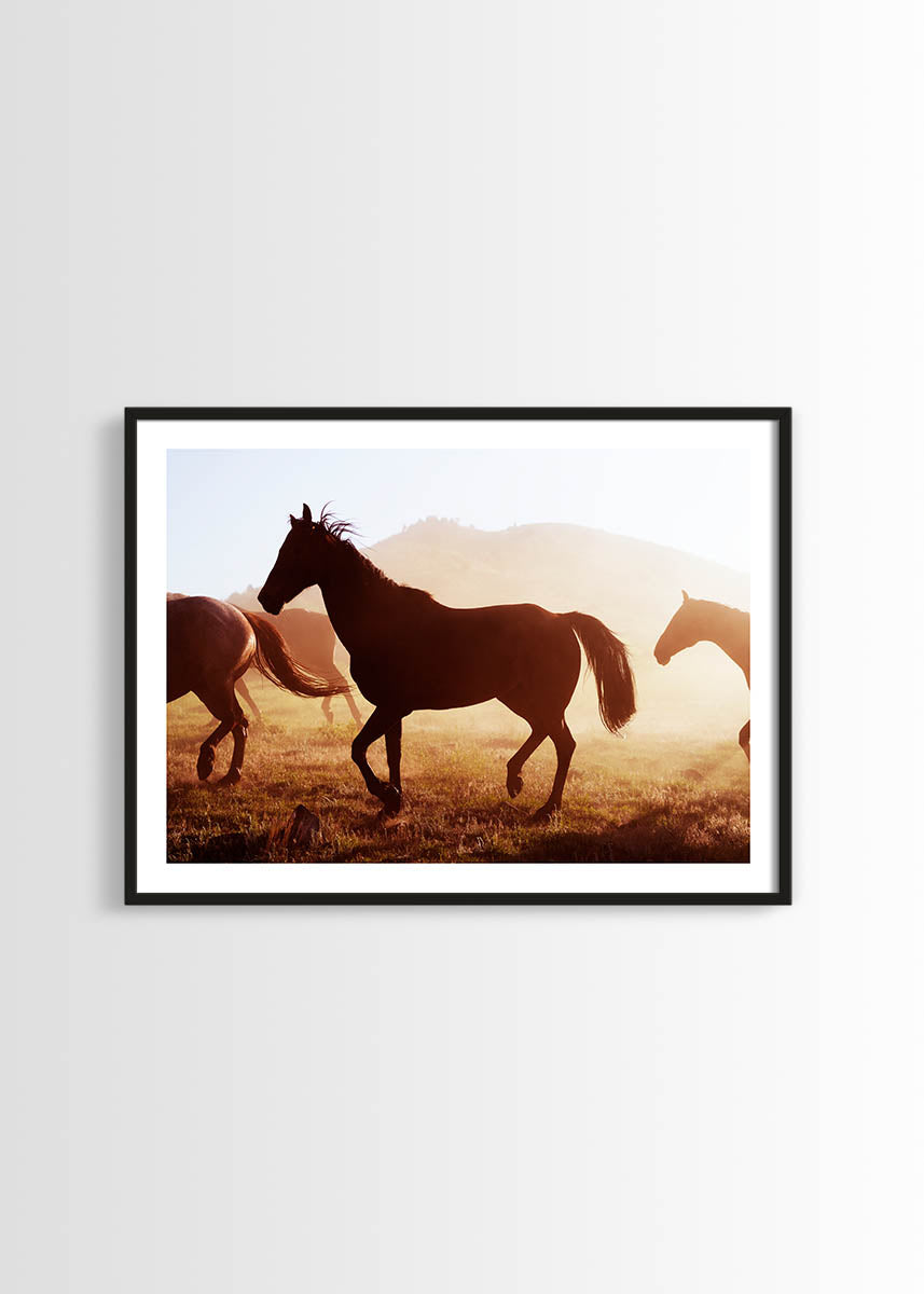 horses poster