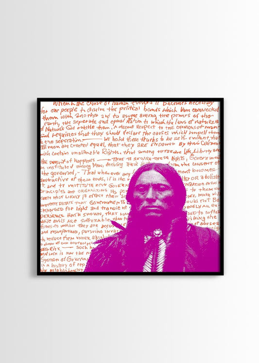 Indian american poster