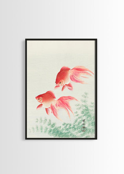 Ohara Koson goldfish poster