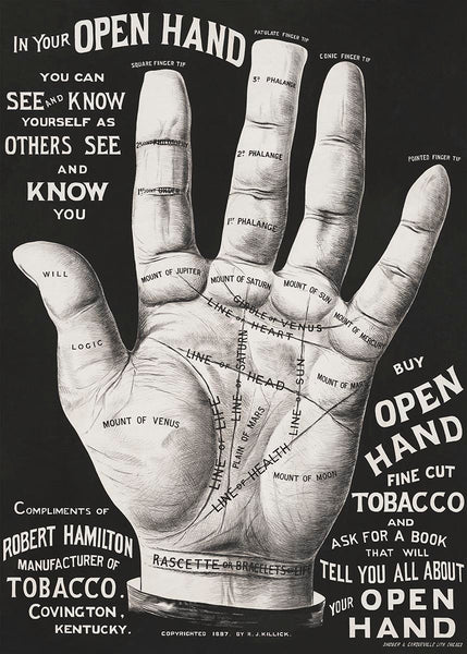 Open hand palm reading – Poster Wall