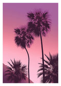 Palm Springs poster