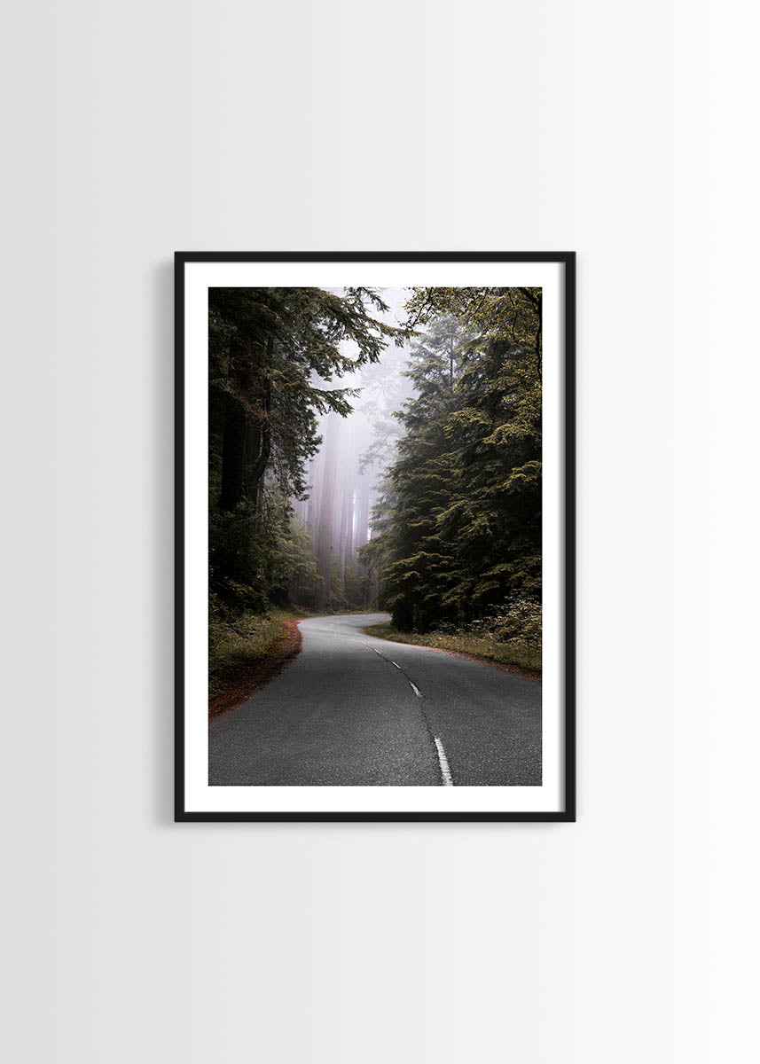 Redwood National Park poster