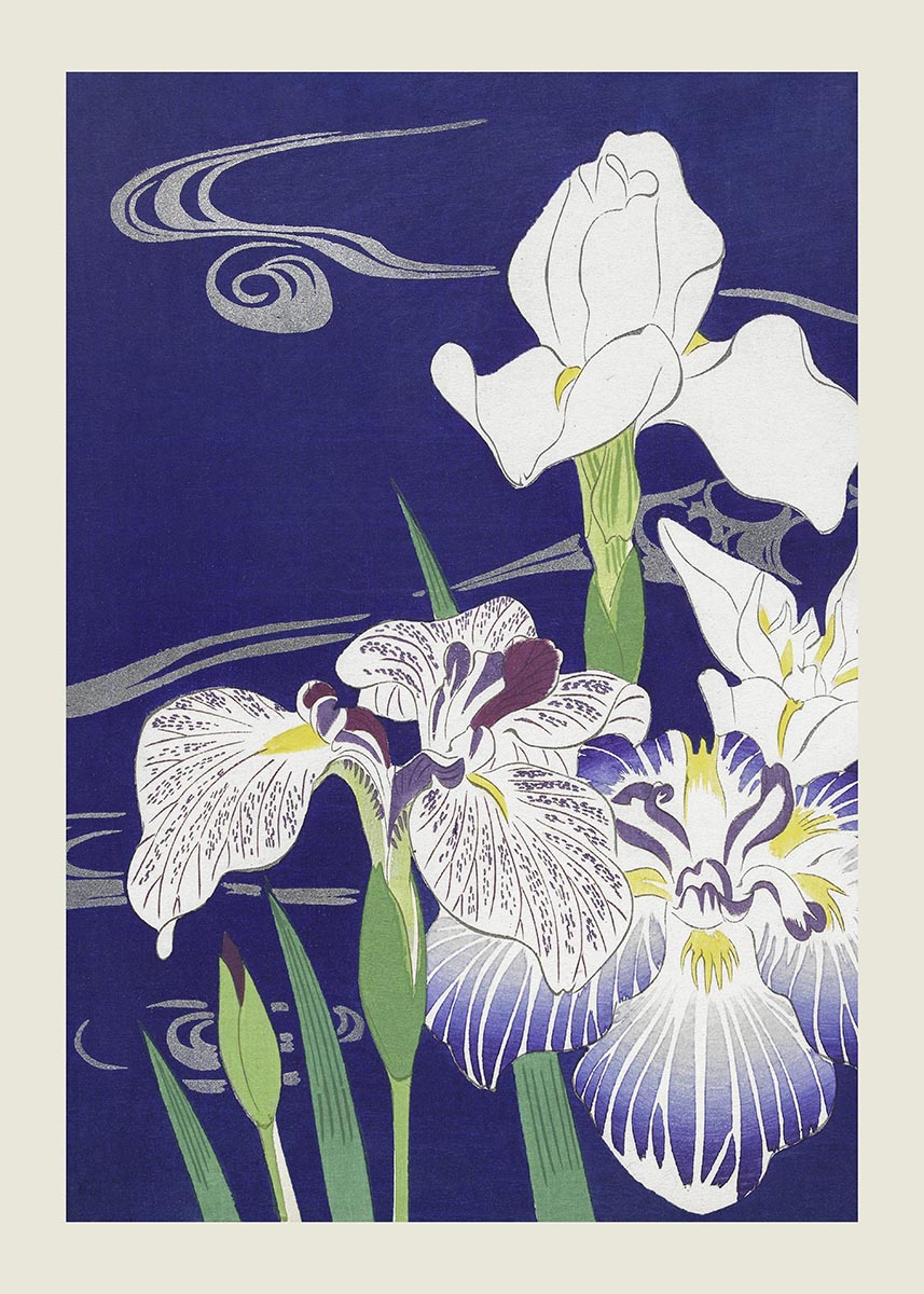 Kogyo Tsukioka - irises