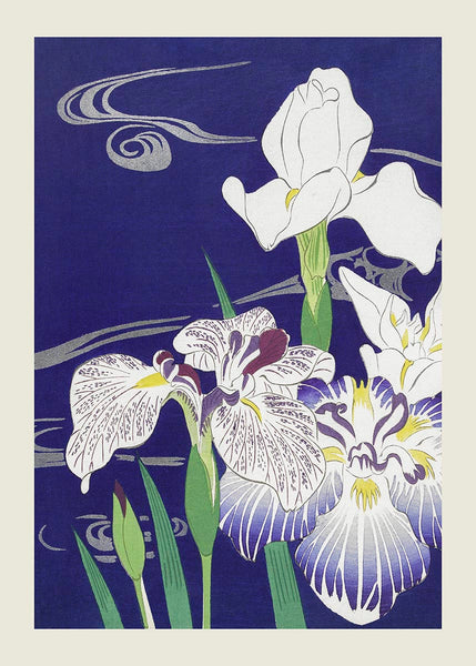 ENGLISH・IRIS  KENPERRY  ヴィンテージポスター tsukuokalrr_grande.jpg?v=